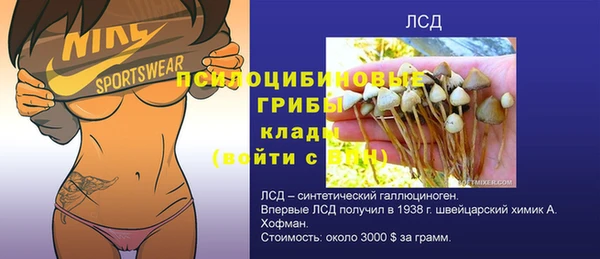 Альфа ПВП Белокуриха