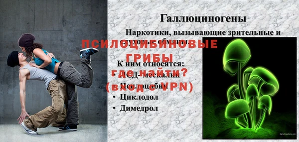 PSILOCYBIN Богородицк
