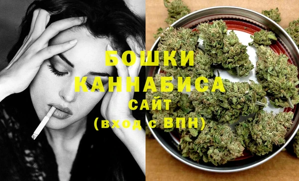 PSILOCYBIN Богородицк